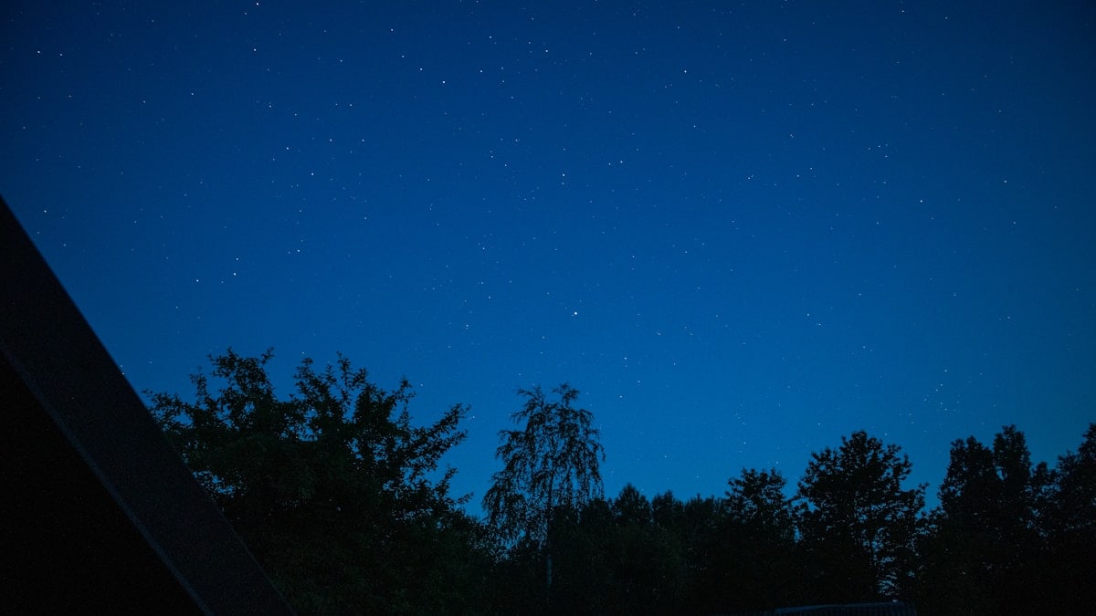 a night sky with stars and trees in the foreground